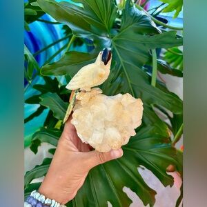 Parrot Carving on Citrine